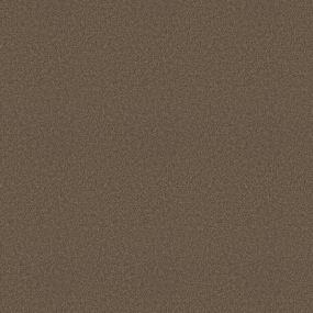 Textured Saxony Espresso Brown Carpet