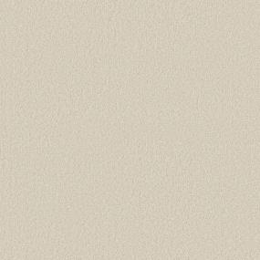 Texture Halo Beige/Tan Carpet