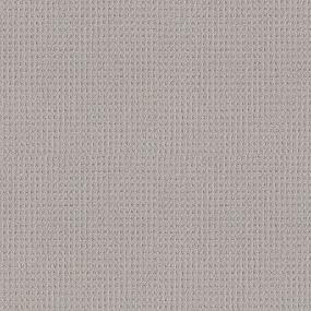 Loop Fossil Gray Carpet