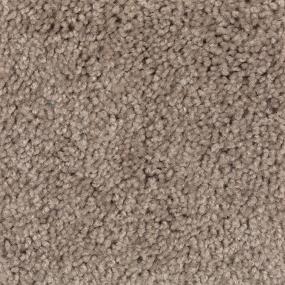 Textured Saxony Driftwood Beige/Tan Carpet