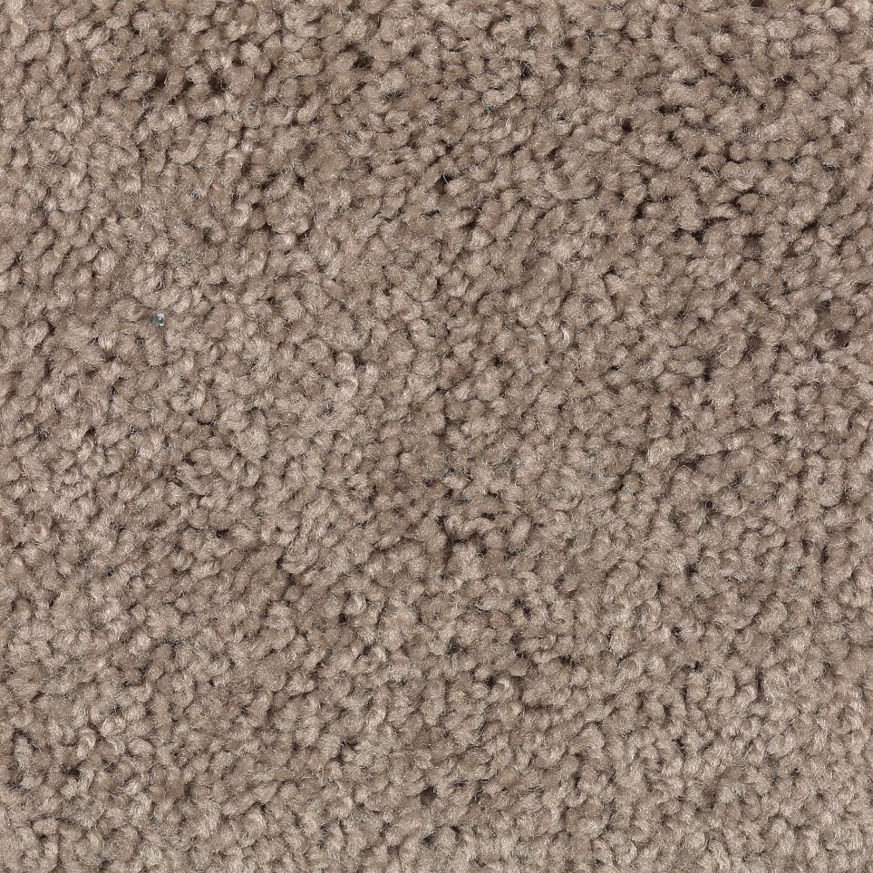 Textured Saxony Driftwood Beige/Tan Carpet