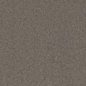 Textured Saxony Metallic Beige/Tan Carpet