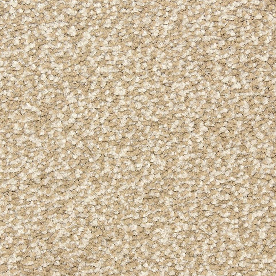 Texture Thunder Beige/Tan Carpet