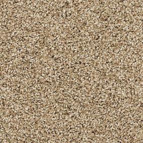 Texture Fowler Beige/Tan Carpet