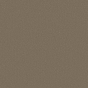 Pattern Camelback Brown Carpet