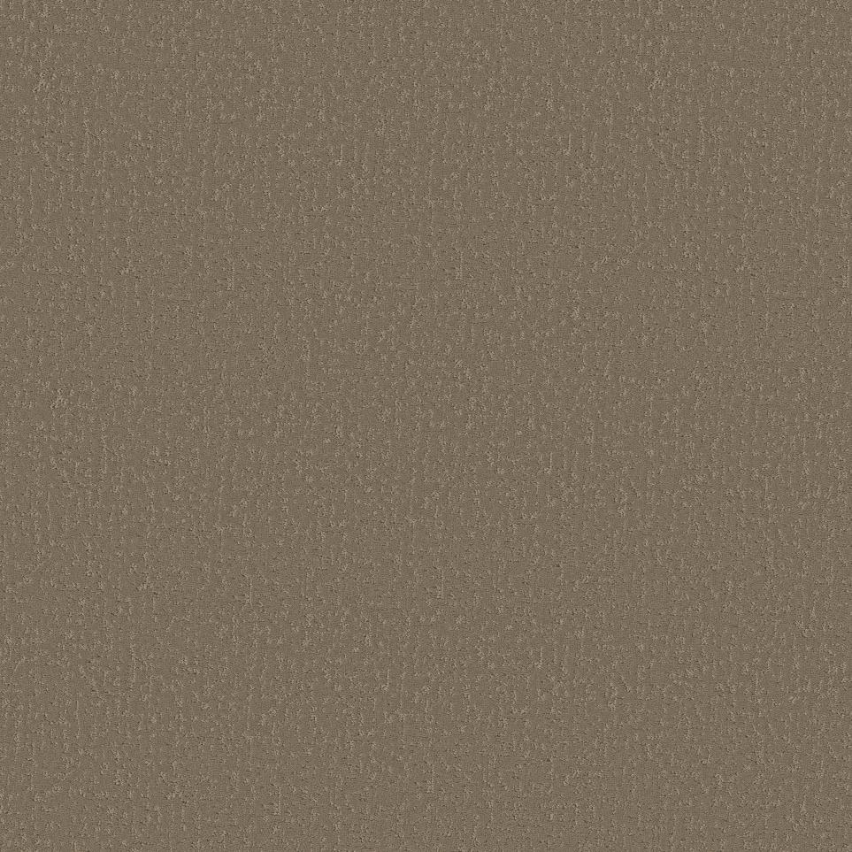 Pattern Camelback Brown Carpet