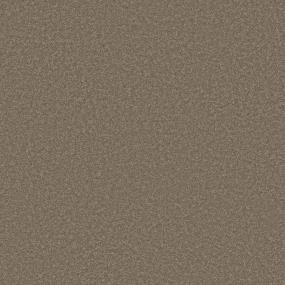 Texture DOWN HOME Brown Carpet