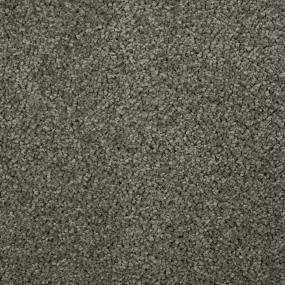 Textured Saxony Silhouettes Brown Carpet