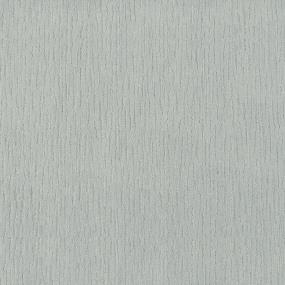 Pattern Cobweb Gray Carpet