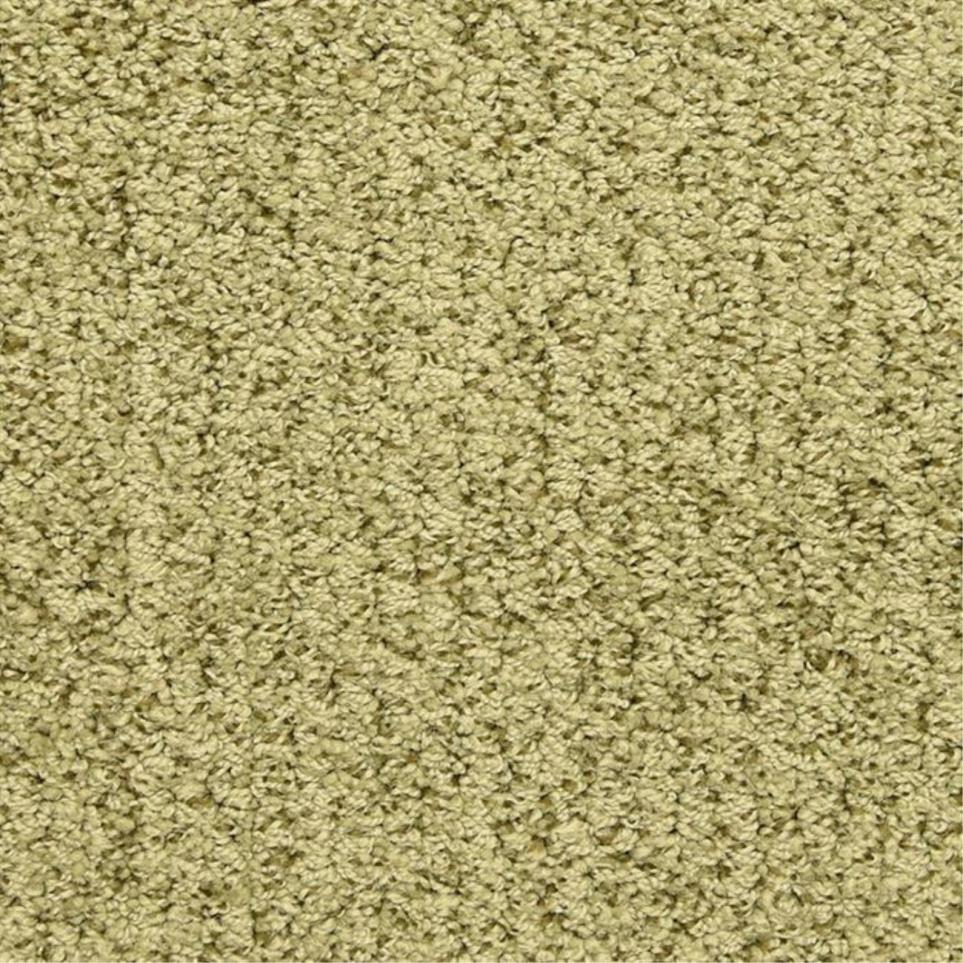 Loop Palm Tree Green Carpet