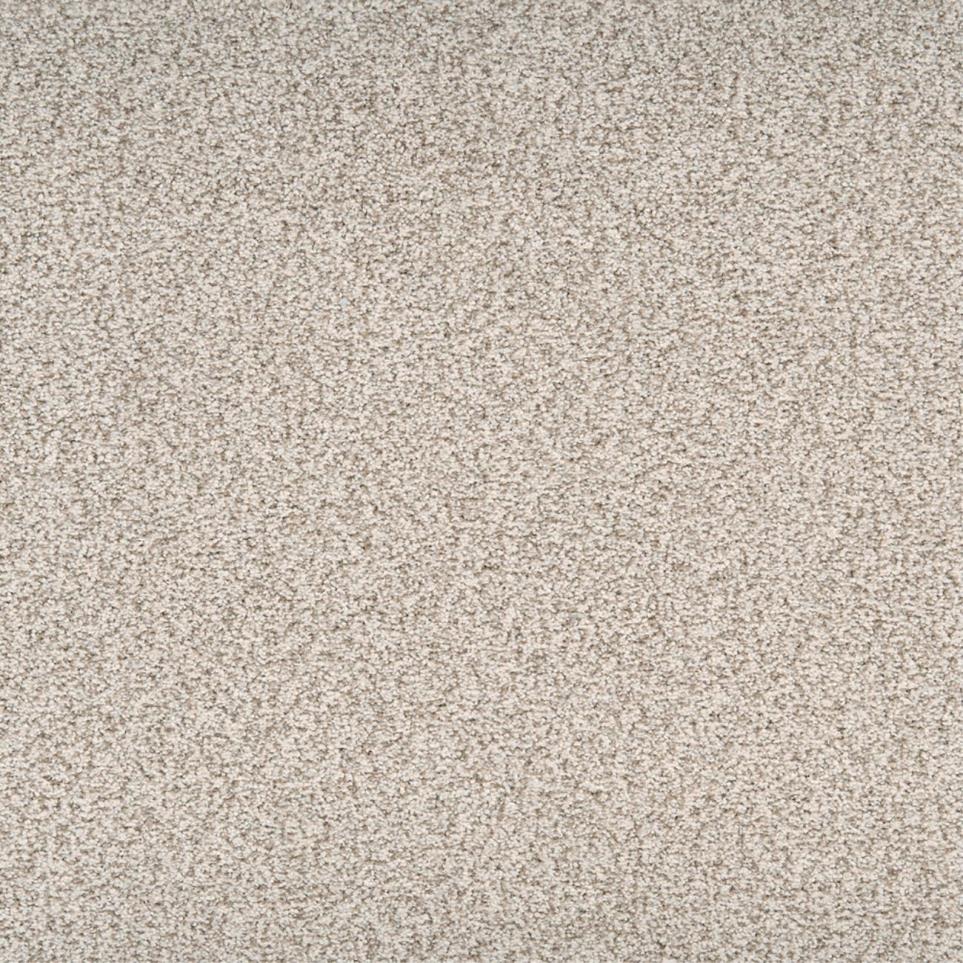 Textured Saxony Secure Beige/Tan Carpet