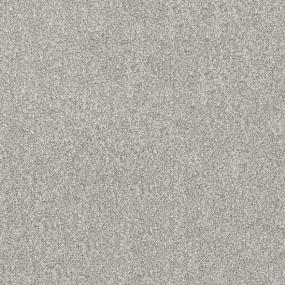 Texture Shell Gray Carpet