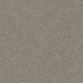 Textured Saxony Tawny Beige/Tan Carpet