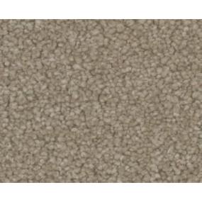 Textured Saxony Desire Beige/Tan Carpet