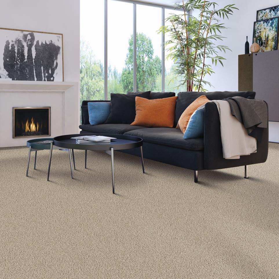 Texture Aria Beige/Tan Carpet