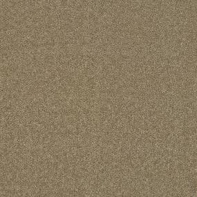 Textured Saxony Premier Beige/Tan Carpet