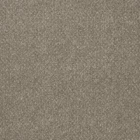 Textured Saxony Premier Beige/Tan Carpet