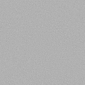 Casual Texture Veil Gray Carpet