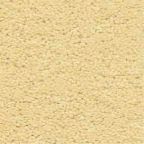 Casual Texture Amarillo Yellow Carpet