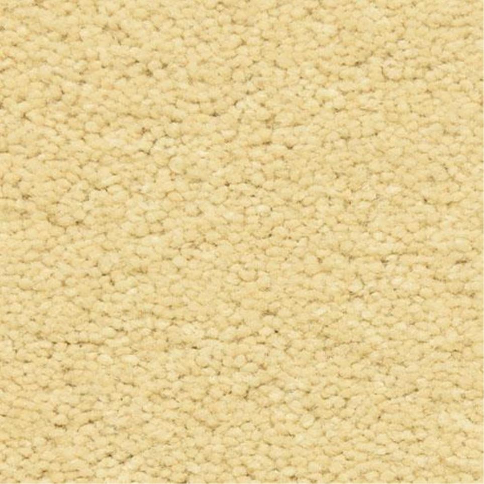 Casual Texture Amarillo Yellow Carpet