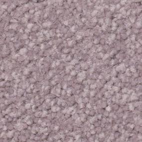 Textured Saxony Style Purple Carpet