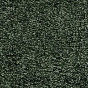 Textured Saxony Pondscape Green Carpet