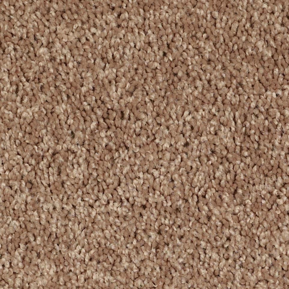 Texture Homestead Beige/Tan Carpet