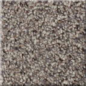 Texture Driftwood Gray Carpet