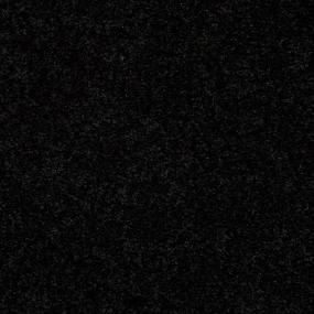 Textured Saxony Tuxedo Black Carpet