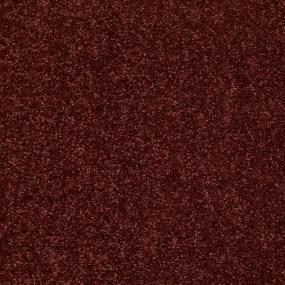 Textured Saxony Fudgesicle Brown Carpet