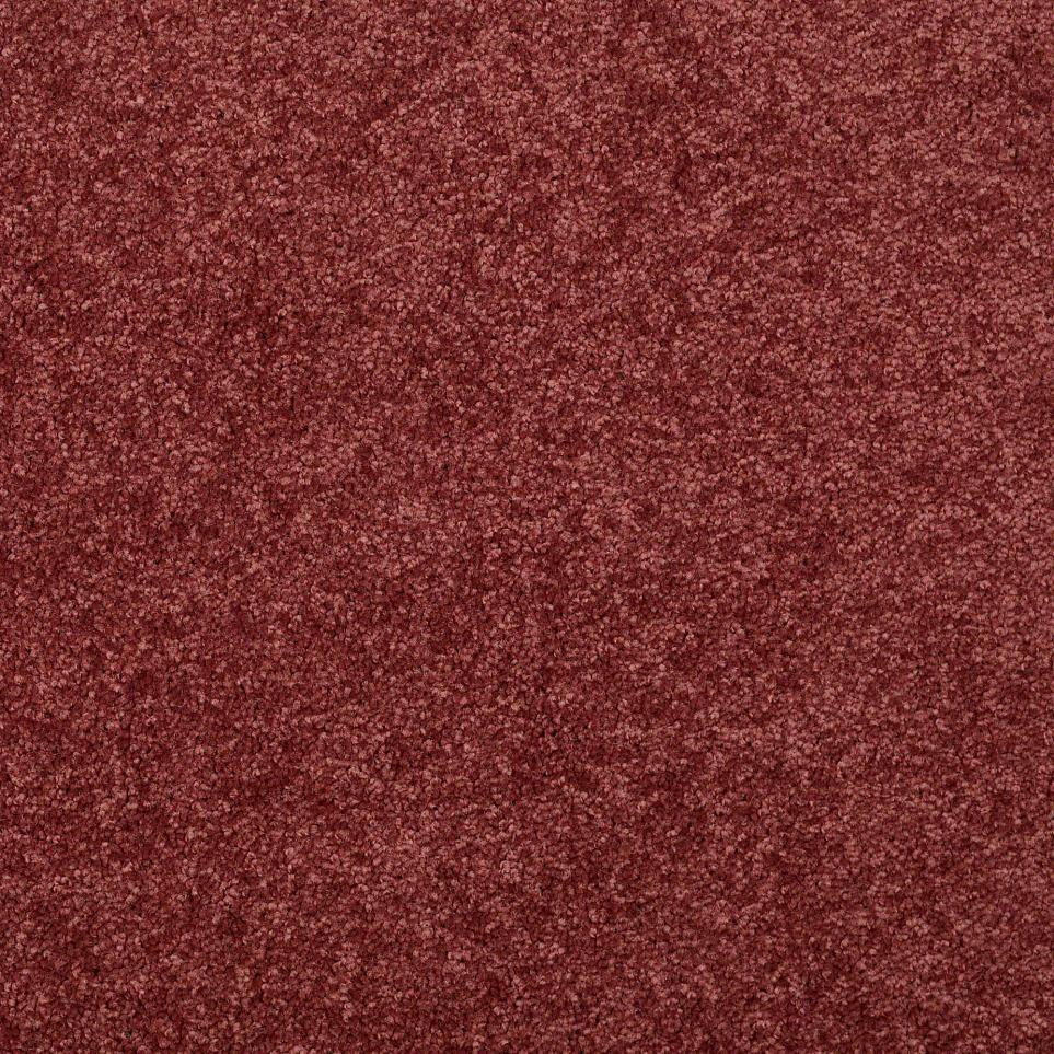 Textured Saxony Lavender Purple Carpet