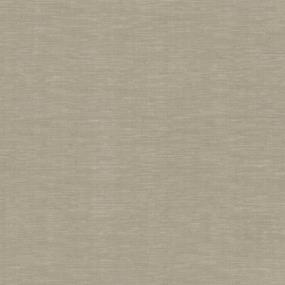 Pattern Parchment Beige/Tan Carpet