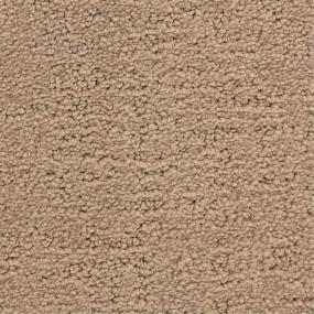 Pattern Anacapa Brown Carpet
