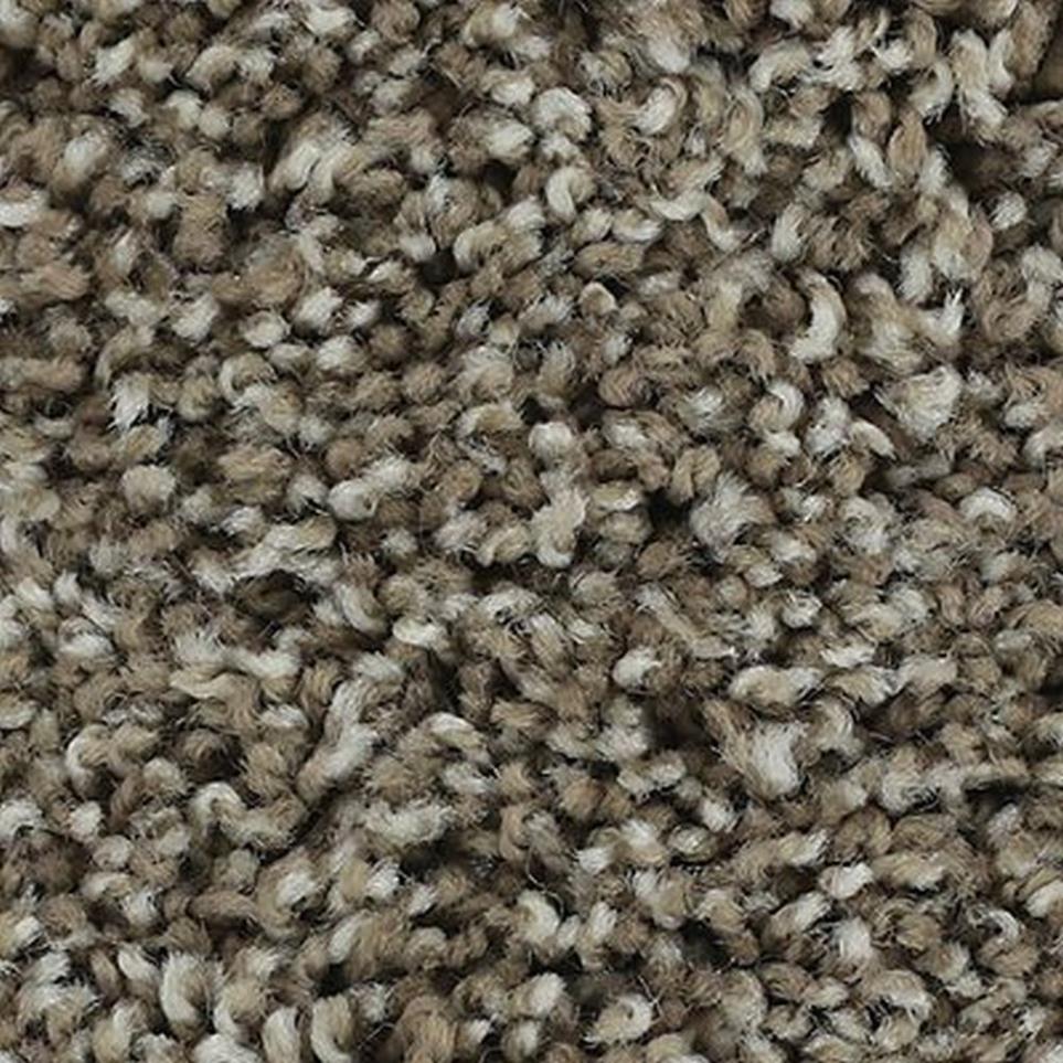 Textured Saxony Gentle Doe Brown Carpet