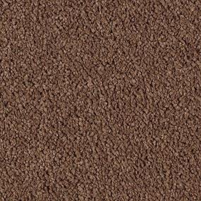 Cut Pile Tundra Brown Carpet