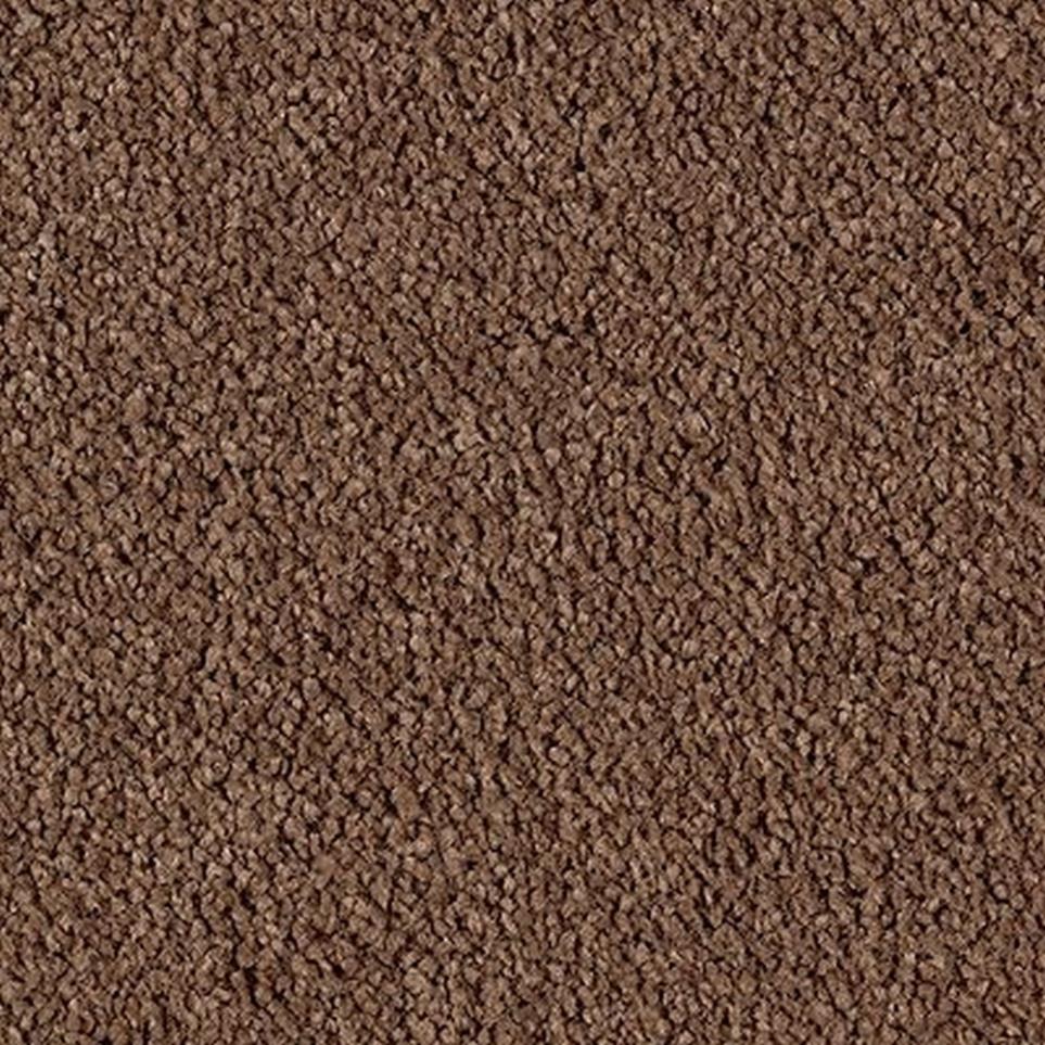 Cut Pile Tundra Brown Carpet