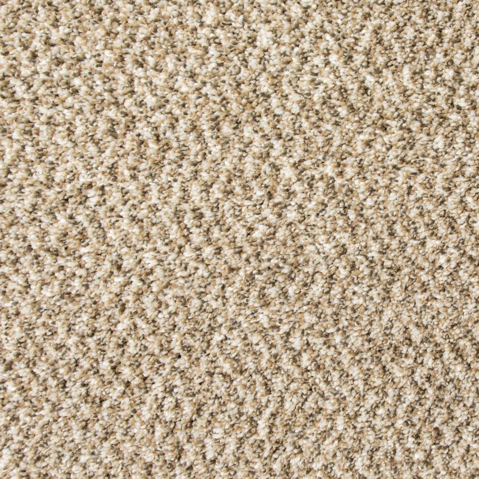 Texture Shoreline  Carpet