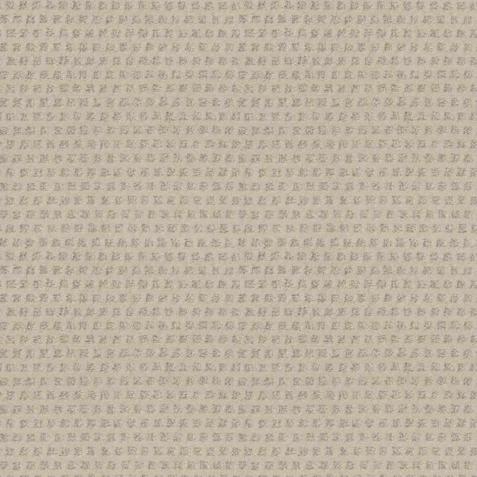 Pattern Dandelion Beige/Tan Carpet