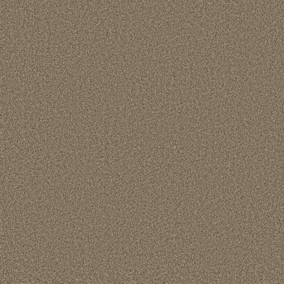 Texture Pecan Beige/Tan Carpet