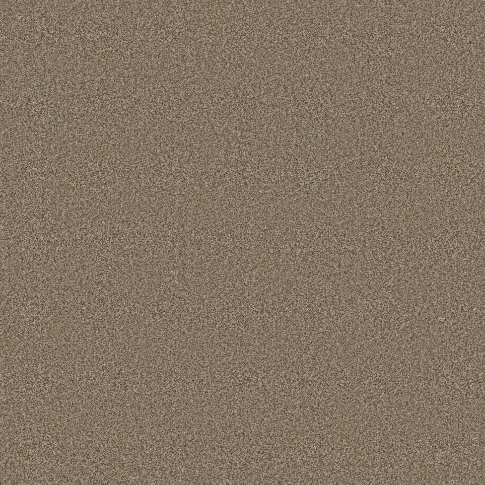 Textured Saxony Pecan Beige/Tan Carpet