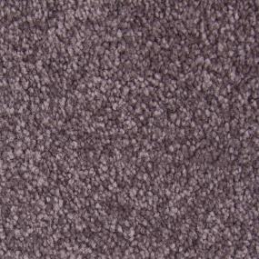 Textured Saxony Debutante Purple Carpet