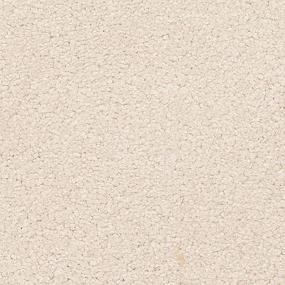 Textured Saxony Gilded Beige/Tan Carpet