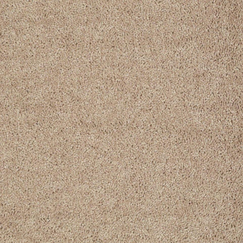 Textured Saxony Camel Tan Beige/Tan Carpet
