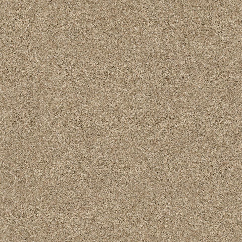Texture Primitive Beige/Tan Carpet