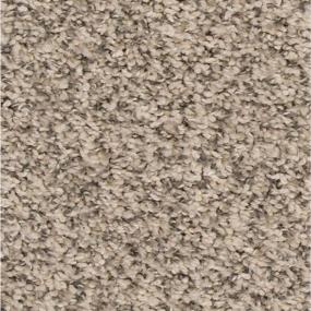Textured Saxony Nickel                         Beige/Tan Carpet