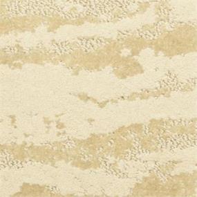 Pattern Temperate Zone Beige/Tan Carpet