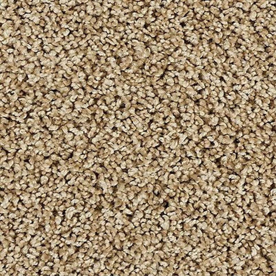 Textured Saxony Beachfront Beige/Tan Carpet