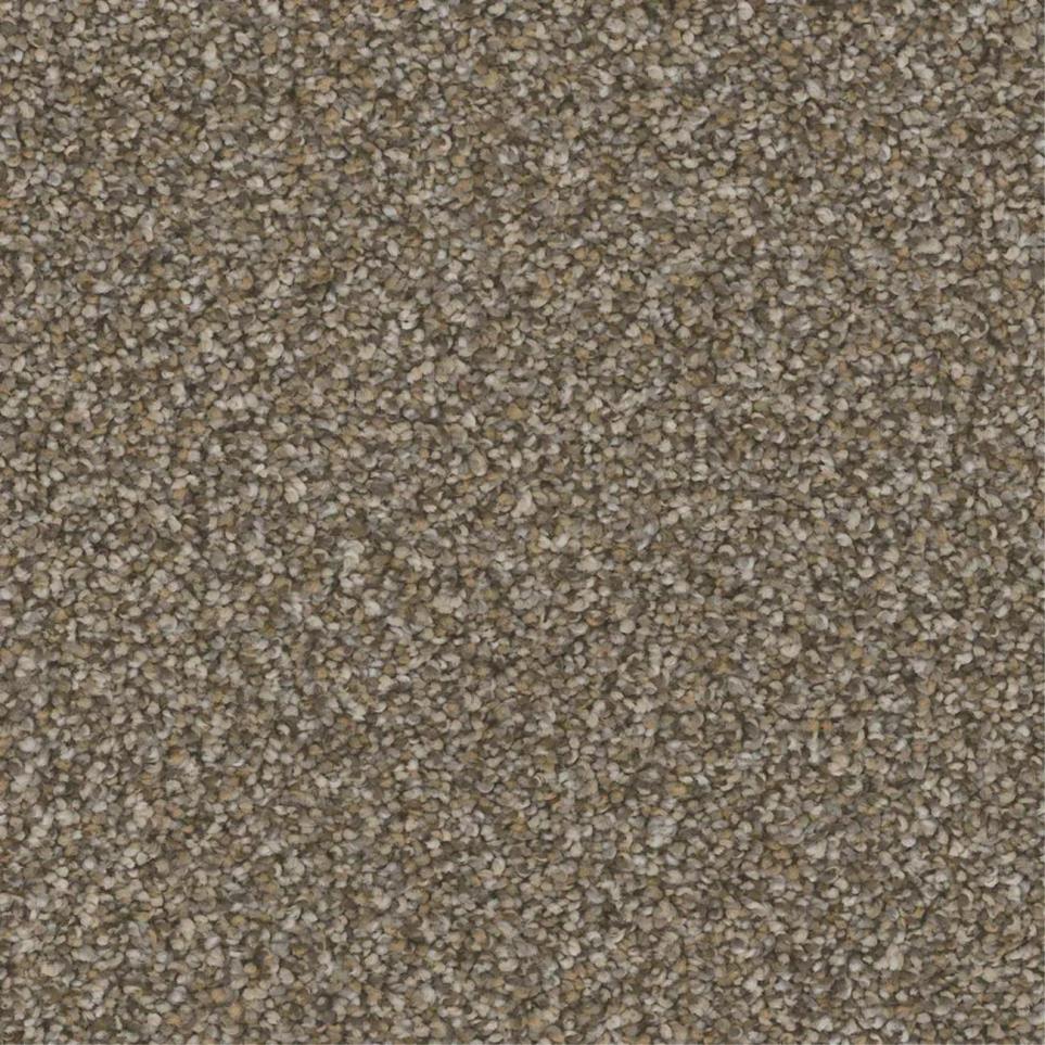 Textured Saxony Abode Brown Carpet