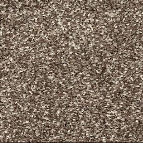 Textured Saxony Bliss Beige/Tan Carpet