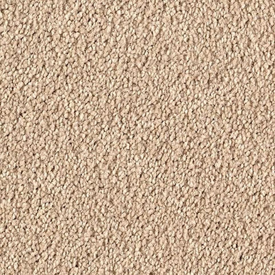 Textured Saxony Canvas Beige/Tan Carpet